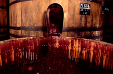 Vídeo sobre el descube y el prensado