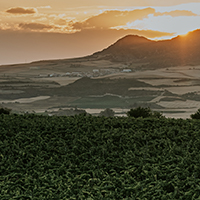 Un nuevo proyecto de I+D desarrollará nuevas tecnologías de fertilización para viñedos situados en zonas vulnerables a nitratos